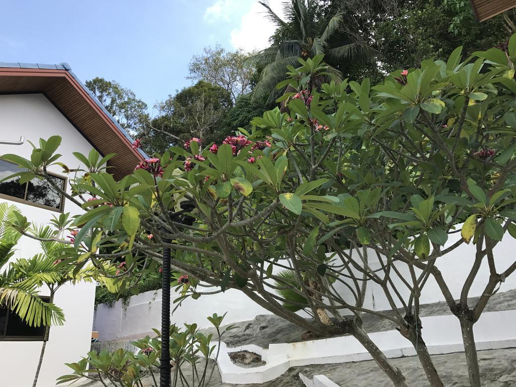 Rabbit Mansion2 Apartment Patong Exterior foto